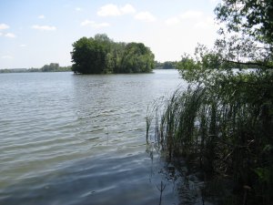 IMG_2026.JPG