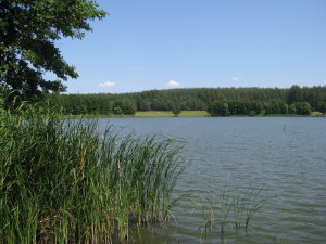 IMG_2027.JPG