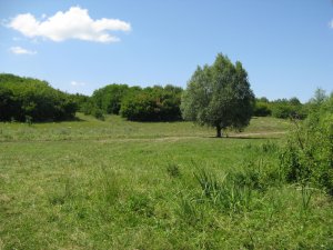 IMG_2034.JPG