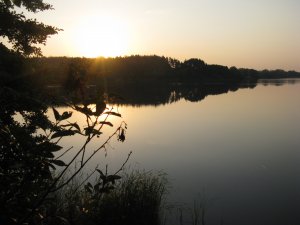 IMG_2007.JPG