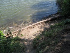 IMG_2024.JPG