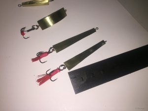 IMG_4655.JPG