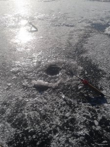 20180114_121625.jpg