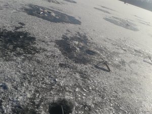 20180114_121631.jpg
