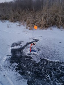 20180114_070622.jpg