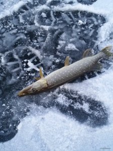 20180114_070649.jpg