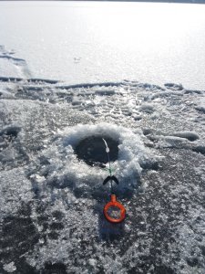 20180114_122454.jpg