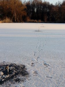 IMG_20180114_081434.jpg