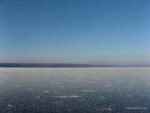 IMG_2969.JPG
