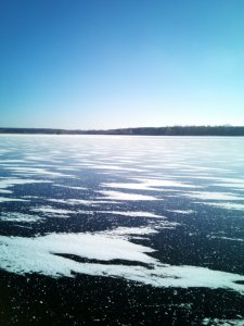 IMG_20180114_111742.jpg