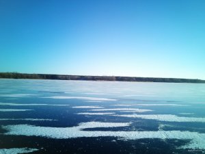 IMG_20180114_143528.jpg