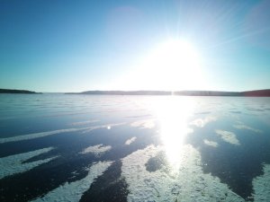 IMG_20180114_143517.jpg