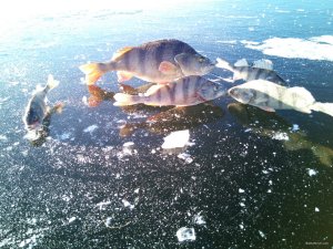 IMG_20180114_142521.jpg