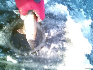 IMG_20180114_090641.jpg