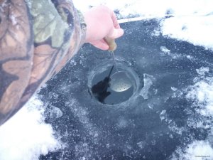IMG_20180116_080247.jpg