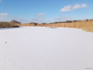 P80116-123912[1].jpg