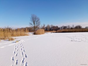 P80116-123919[1].jpg
