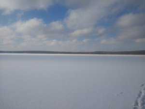 IMG_20180116_105848455.jpg