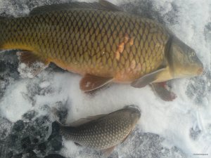 20180116_090858.jpg