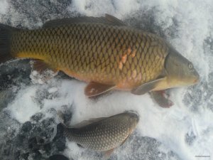 20180116_090906.jpg