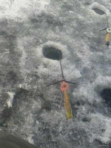 20180116_132213.jpg