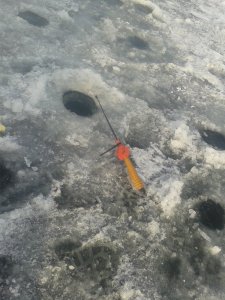 20180116_132218.jpg