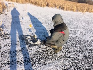 IMG_7570.JPG