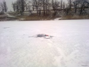 170120181831.jpg