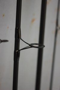 IMG_2633.JPG