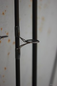 IMG_2634.JPG