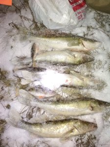 IMG_20180116_173424.jpg
