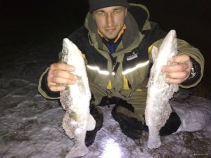 IMG_20180116_173718.jpg
