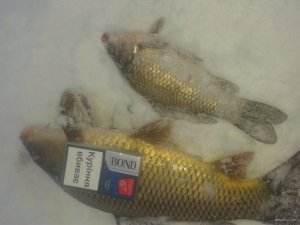 20180117_152555.jpg