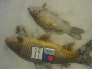 20180117_152604.jpg