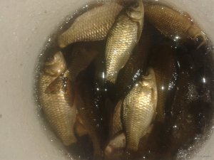 20180117_152850.jpg