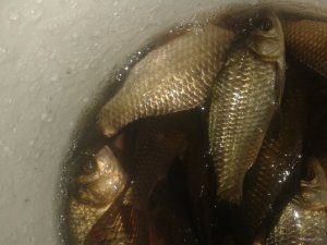 20180117_152857.jpg