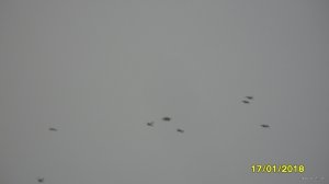 SAM_9178.JPG