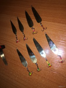 IMG_4717.JPG