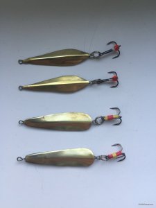 IMG_4737.JPG