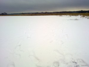 180120181851.jpg