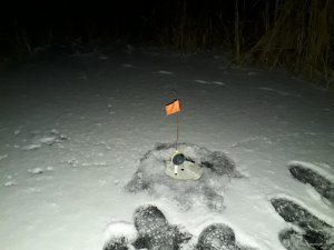 20180117_064214.jpg