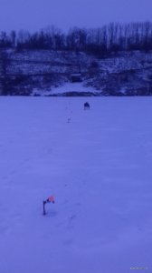 20180116_072409.jpg