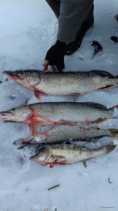 20180117_135824.jpg