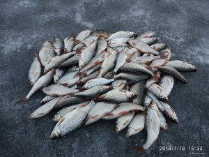 IMG_20180118_153236.jpg