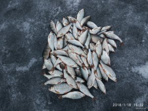 IMG_20180118_153257.jpg