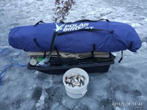 IMG_20180118_154312.jpg