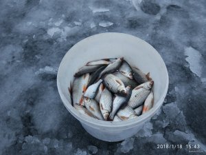 IMG_20180118_154321.jpg