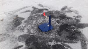 20180117_085842.jpg