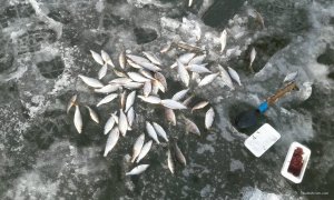image-0-02-04-410cf8e372ce4e3494cd31b1a89f4fd7316c8852065b4c1b04c1c37e1a2242c5-V.jpg