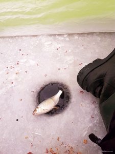 20180119_101142.jpg